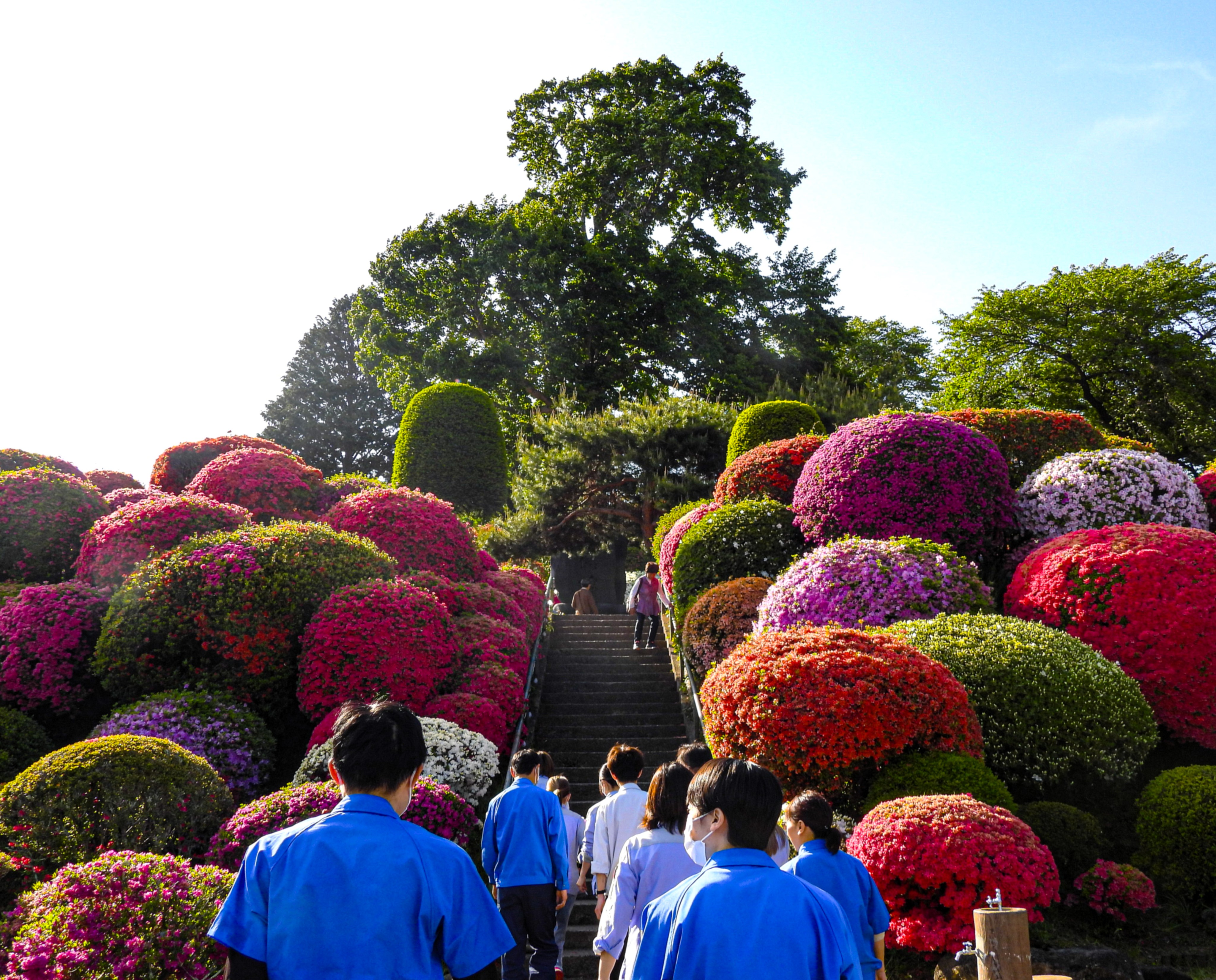 社員の花見